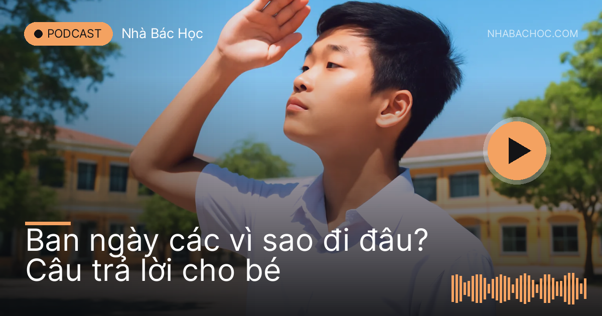 Cậu bé đứng giữa sân trường lấy tay che nắng ngước nhìn trời xanh