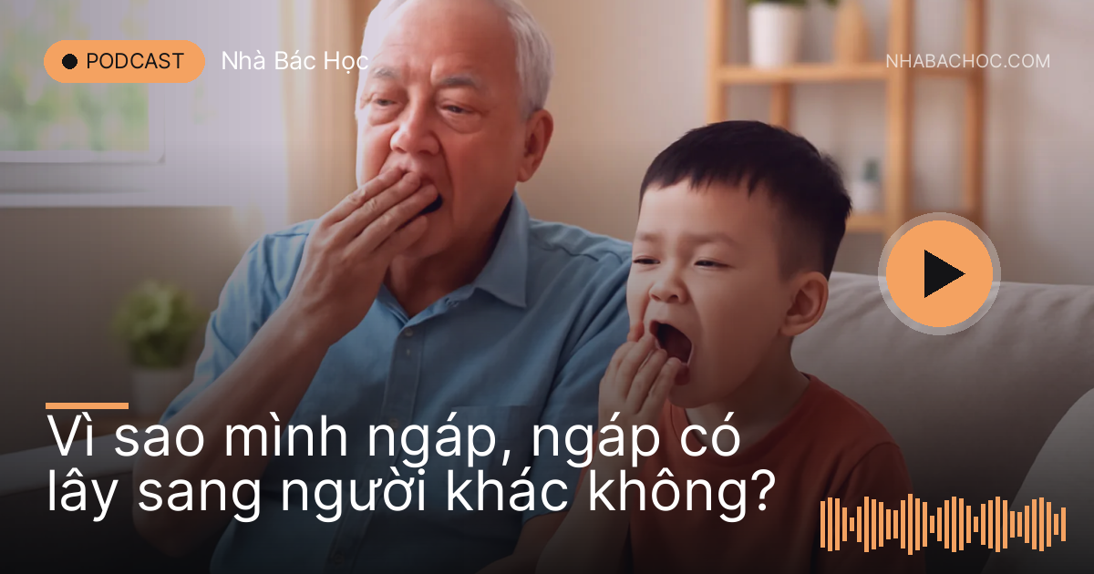 Ông và cháu ngồi trên ghế sofa cùng ngáp, tay che miệng