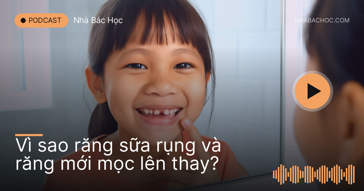 Bé gái sáu tuổi cười khoe chỗ răng cửa vừa rụng trước gương