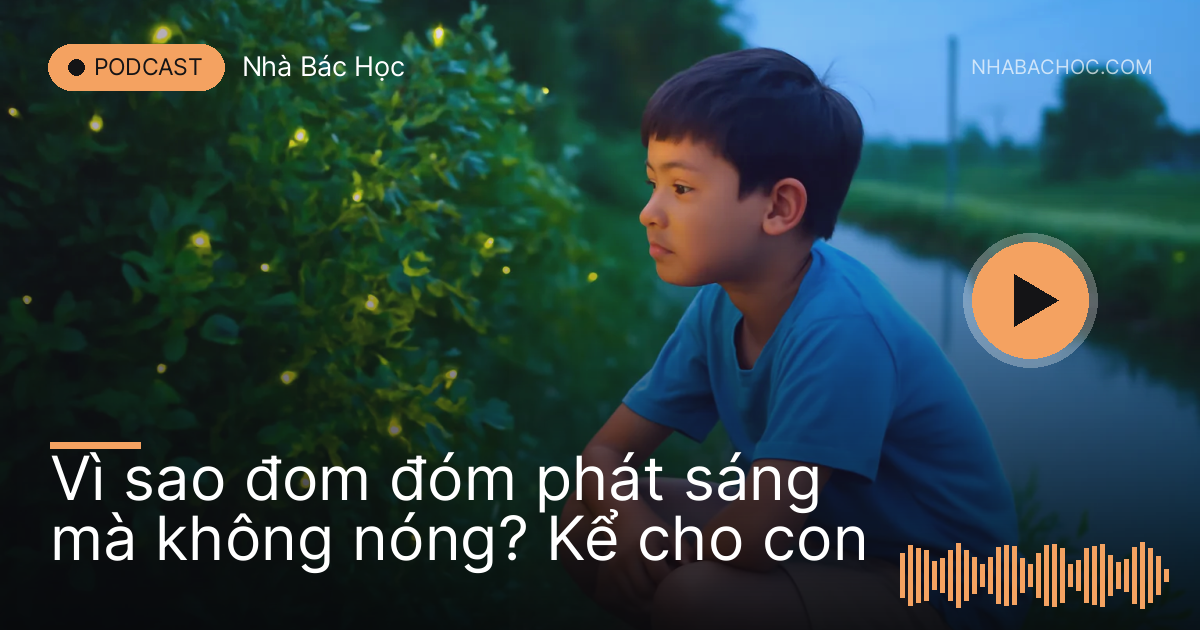 Bé trai ngồi xổm bên bụi cây ven mương ngắm những chấm sáng đom đóm