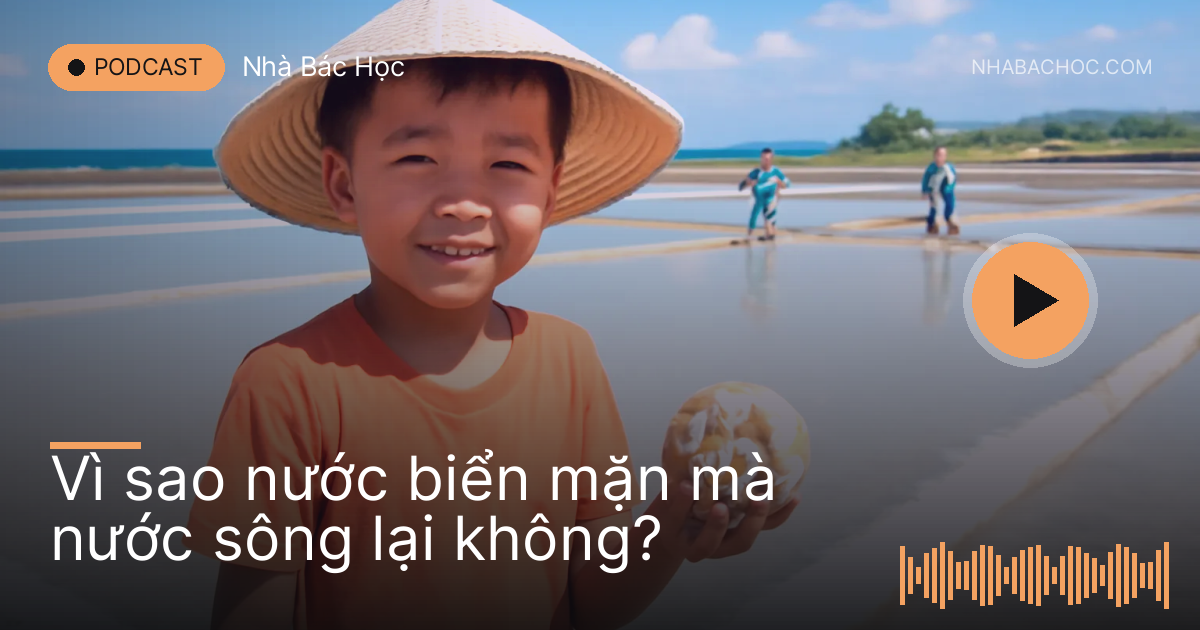 Cậu bé cầm vỏ sò đứng bên ruộng muối trắng ven biển miền Trung