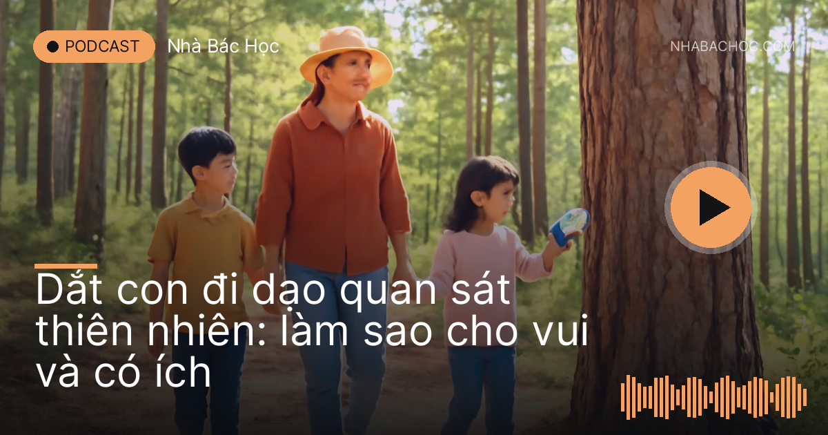 Ba mẹ con đi đường mòn rừng thông, bé cầm kính lúp soi vỏ cây